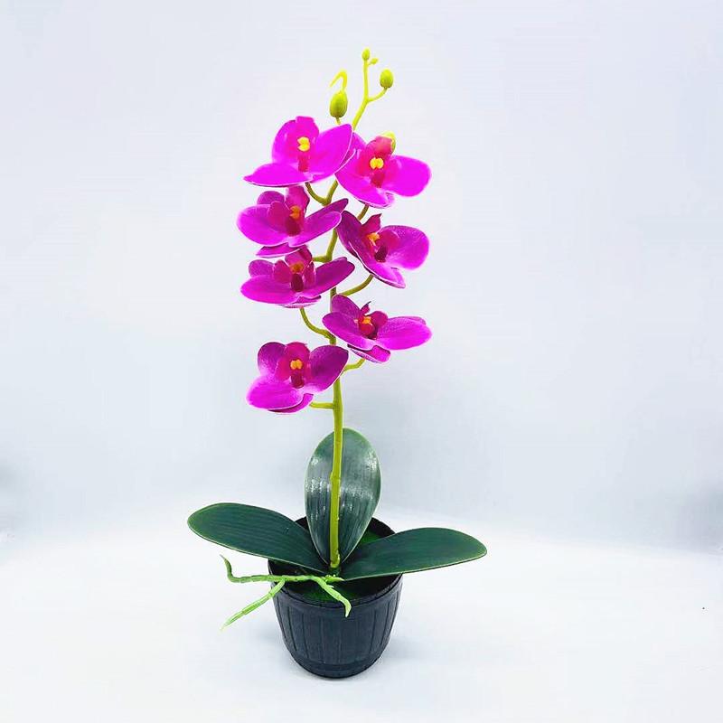Phalaenopsis Aphrodite Rchb Decorative Fake Plant With Silk Flowers For Table Centerpieces And Gift