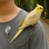 Bite Resistant Anti-flying Training Leash Lightweight Bird Foot Chain Pet Bird Harness  Walking