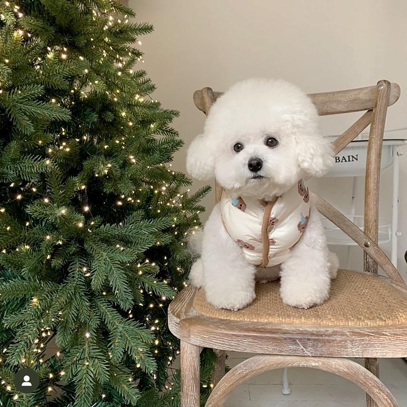 Pet Autumn And Winter Clothing Dog Cotton Coat Traction Bichon Pomeranian Schnauzer Yorkshire Terrier Small Dog Teddy Clothes