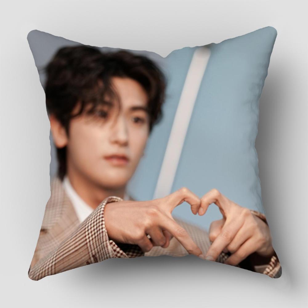 Park Hyung Sik Pillow Cover For A Bright And Fresh Look, Perfect For Kitchens And Dining Areas3.3