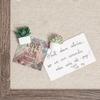 9/20Pcs DIY Succulent Plants Decorative Pushpins Creative Cork Board Tacks  Wall Markers