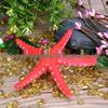 Starfish Aquarium Decoration - Multiple Colors for Fish Tank Simulation