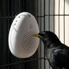 Playback Parrot Teach Talking Recording Bird Repeater Portable Bird Learning Machine  Bird Training