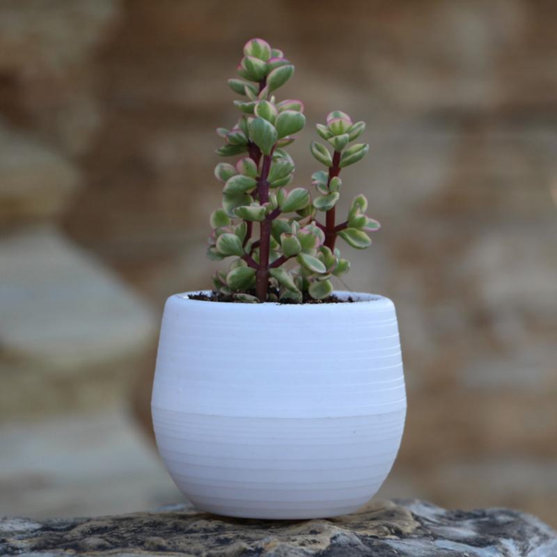6 Packages Of Succulent Flower Pots Mini Stone Ball Pots Multi-Color Optional Thickened Resin Plastic Pots