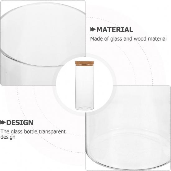 Hydroponic Plant Bottle, 8.21x3.34in Plant Vase Micro Landscape Bottle, Hydroponic Vase Plant Empty Glass Bottle, Water Flower Pot Container with