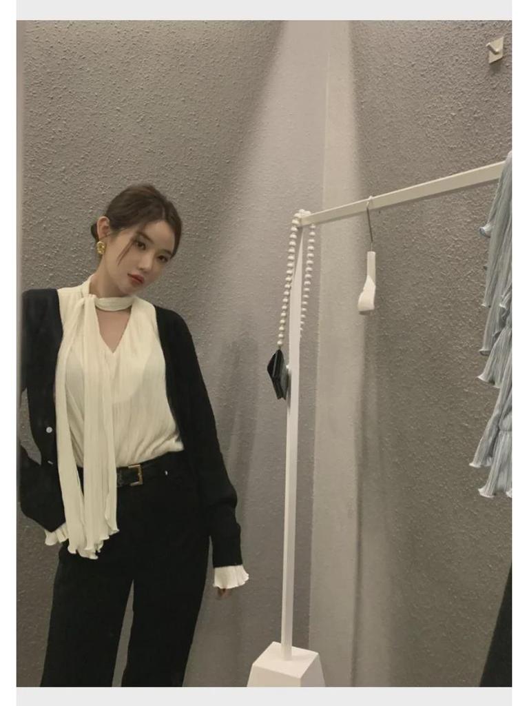 New V-Neck Trumpet Sleeve Loose Fit Casual Long-Sleeve Women's Top