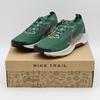 FQ0908-301 Pegasus Trail 5 GORE-TEX Fir Clay Green Desert Ochre (Men's)