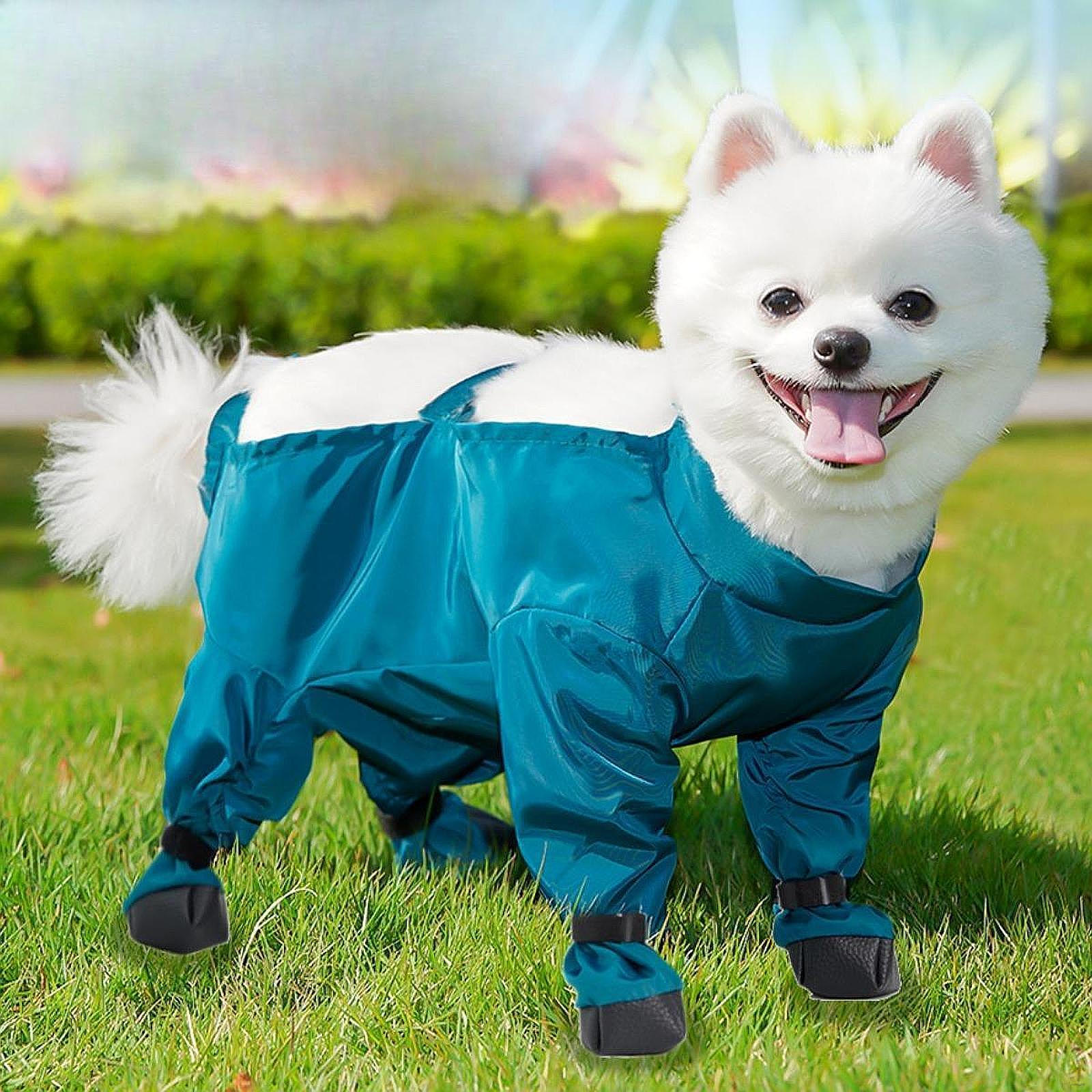 

Штаны для собак, защита живота от дождя и снега, пылезащитные, обувь для лап, подтяжки, сапоги для домашних животных XL