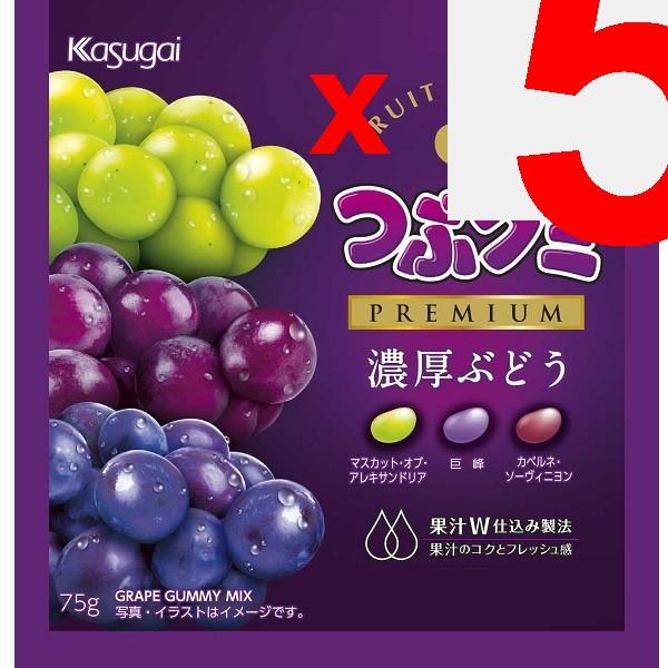 Kasugai Crush Gummi PREMIUM Thick Grapes 75g A Rich Grape Eating experience.A Rich Grape Eating Exp A Rich Grape Eating Experience.