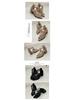 2024 Summer Plus Size Hollow Out Peep Toe Chunky High Heel Sandals