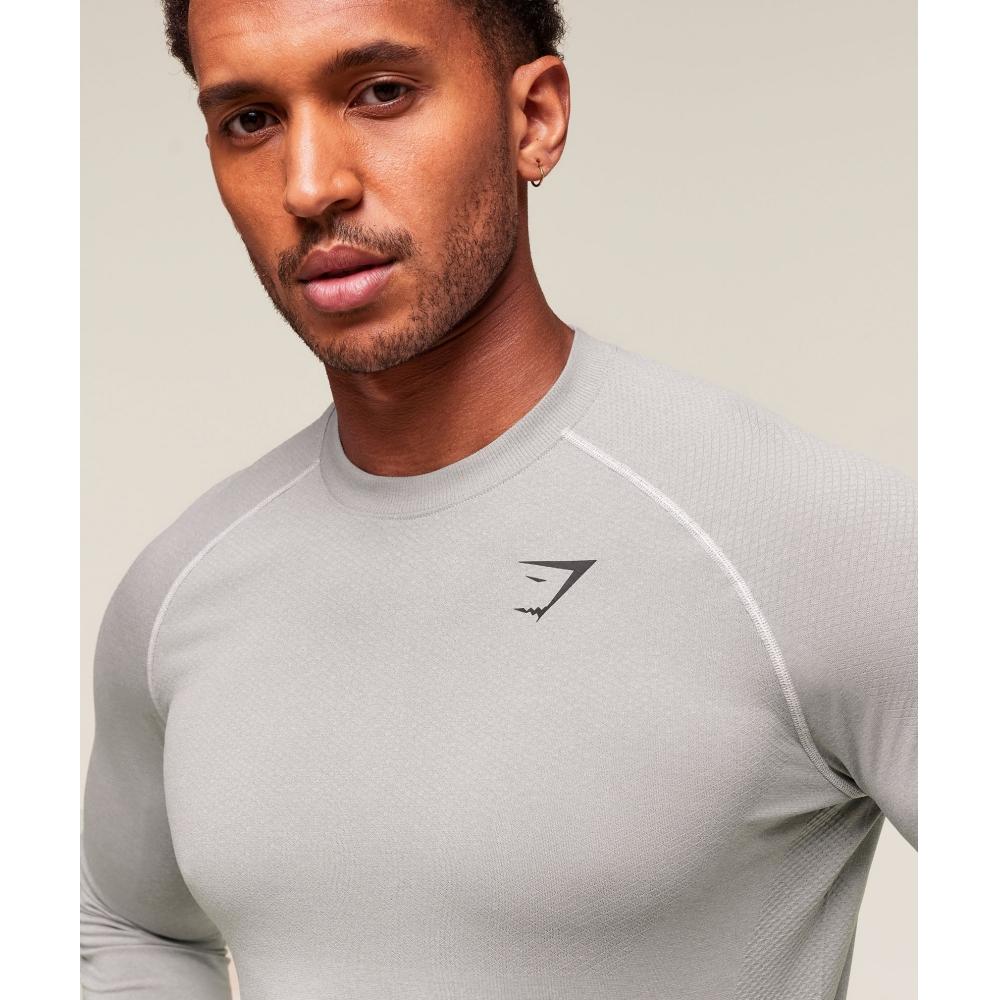 Gymshark ViTal Seamless Long Sleeve T shirT lighT Grey Smokey Grey A2b5k Gb8v