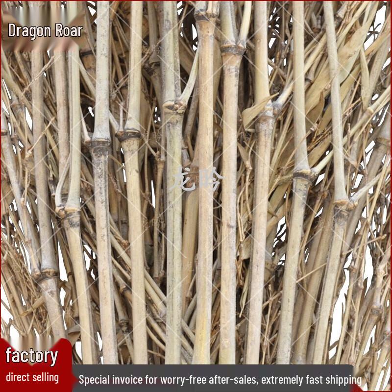 Longyan Heavy-Duty Outdoor Bamboo Broom