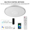 WiFi APP Control LED Smart Ceiling Light 100W RGB Dimmable bluetooth Music Light Modern Home Bedroom Living Room Ceiling Lamp