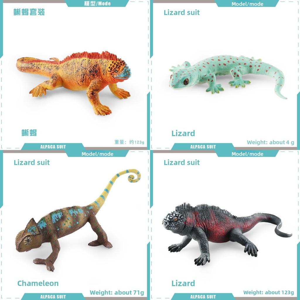 Realistic Reptile Lizard Chameleon Model With Assembleable Chameleon And Gecko Figures For Collectors And Kids
