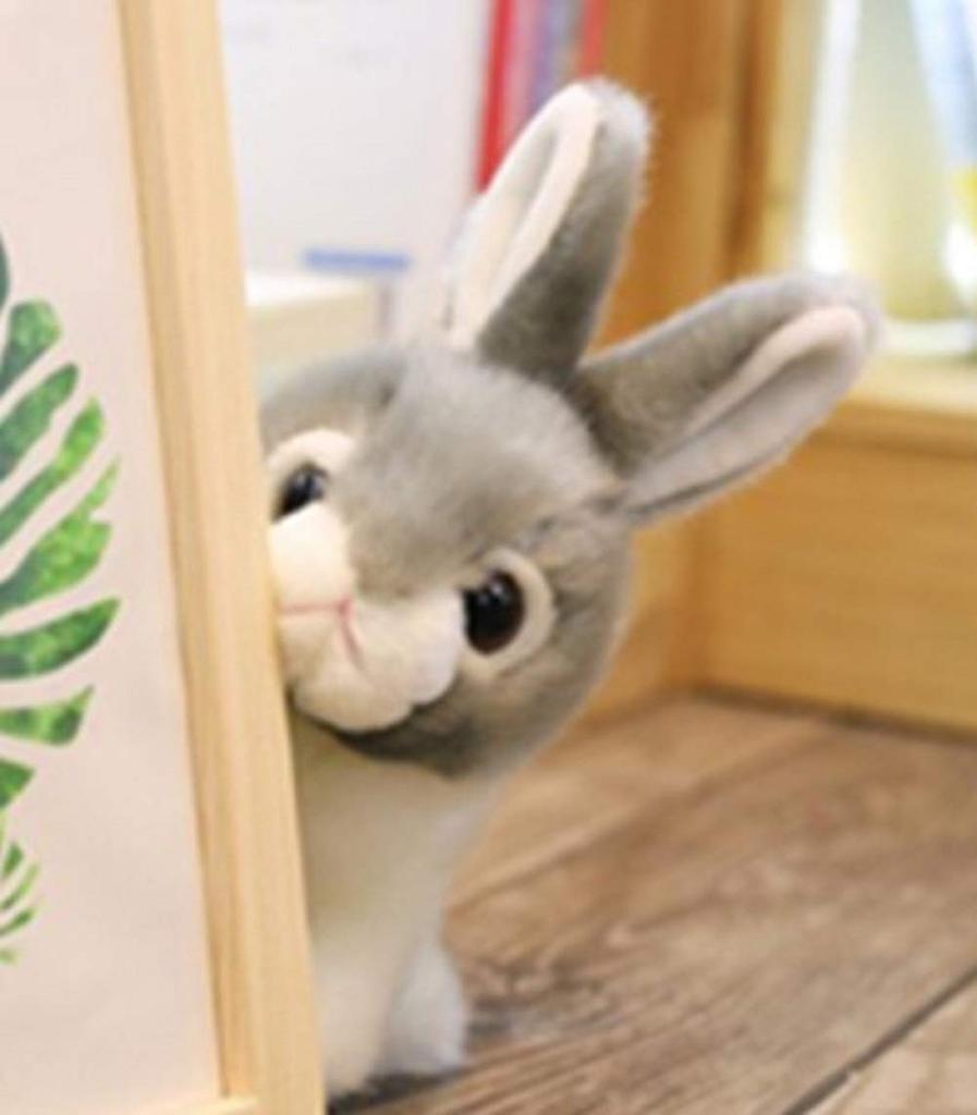 Adorable Rabbit Plush Toy - Enjoy a relaxing moment with this adorable bunny (Brown, 28cm)