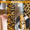 Fly Strips   For Indoors Fruit Fly Killers Fly CatcherFly Killers Indoor  Indoor Housefly  Outdoor For 