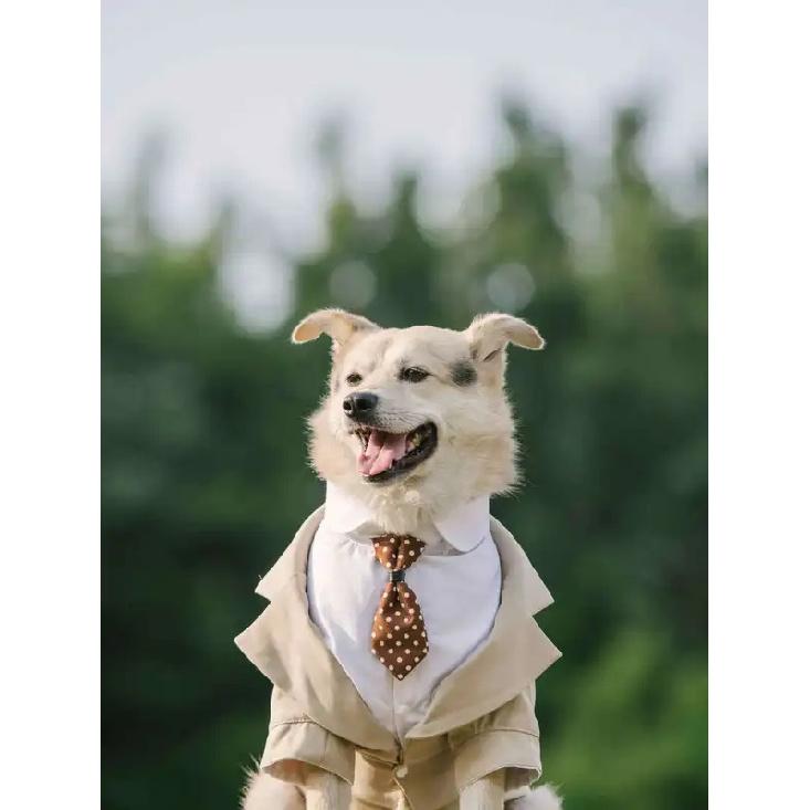 Elegant Pet Dog Suit Coat Puppy Wedding Suit Fake Two Pieces Cute Puppy Suit with Tie Dog Costume for Small Medium Large Dogs