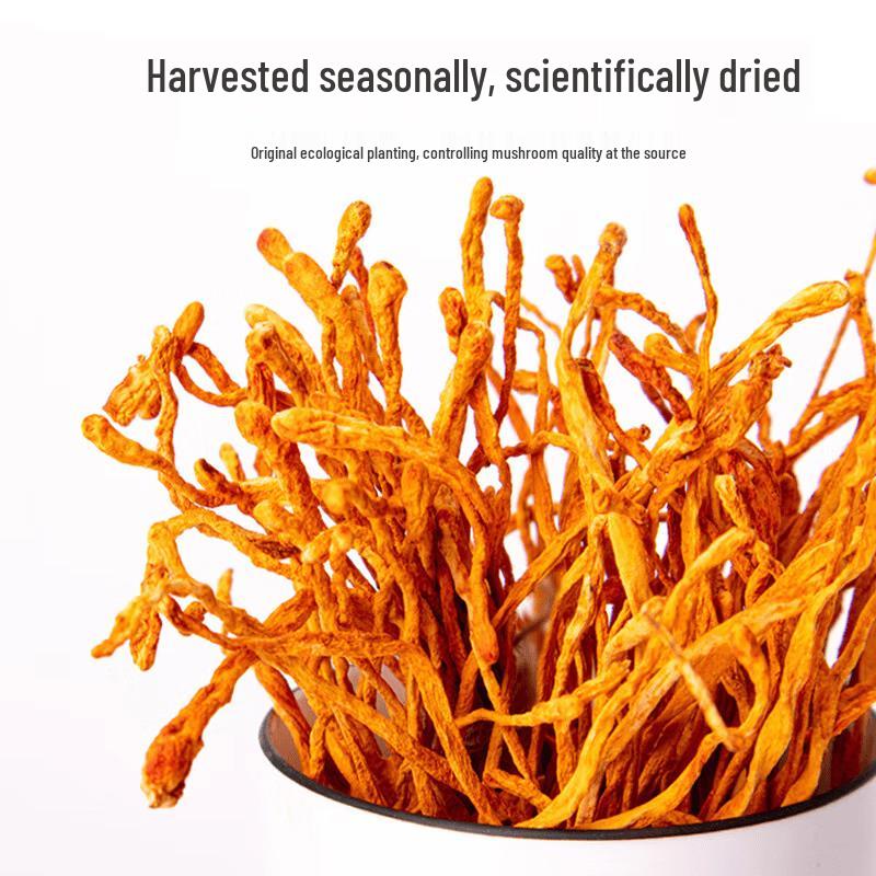 Guangwang Rongxin Lushi County Cordyceps Flower