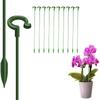 10Pcs Support Rod Bonsai Fixing Tool Fixed Flower Vine Climbing Bracket  Vegetables Vine