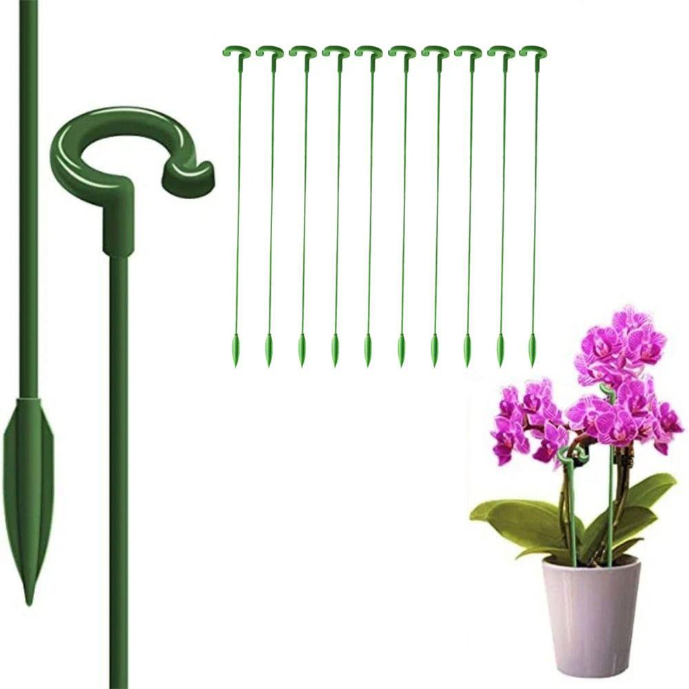 10Pcs Support Rod Bonsai Fixing Tool Fixed Flower Vine Climbing Bracket  Vegetables Vine