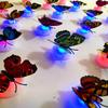 3D Butterfly LED Wall Sticker Night Light - Single Layer, Luminous Design
