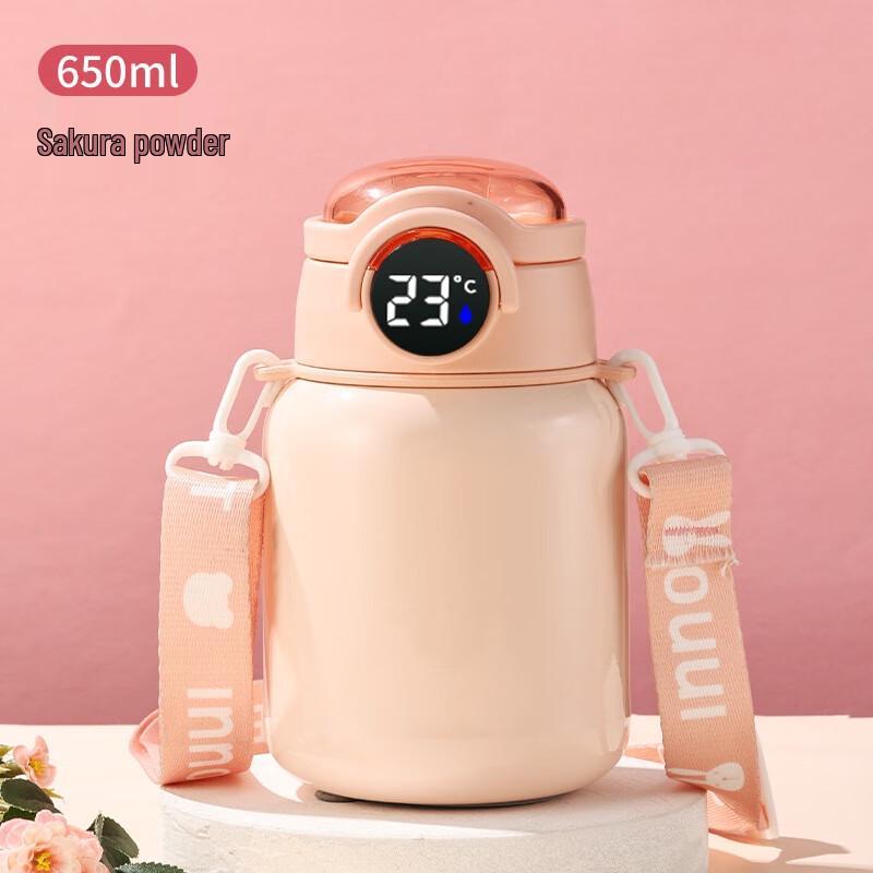 Shangqi Temperature Display Insulated Straw Bottle