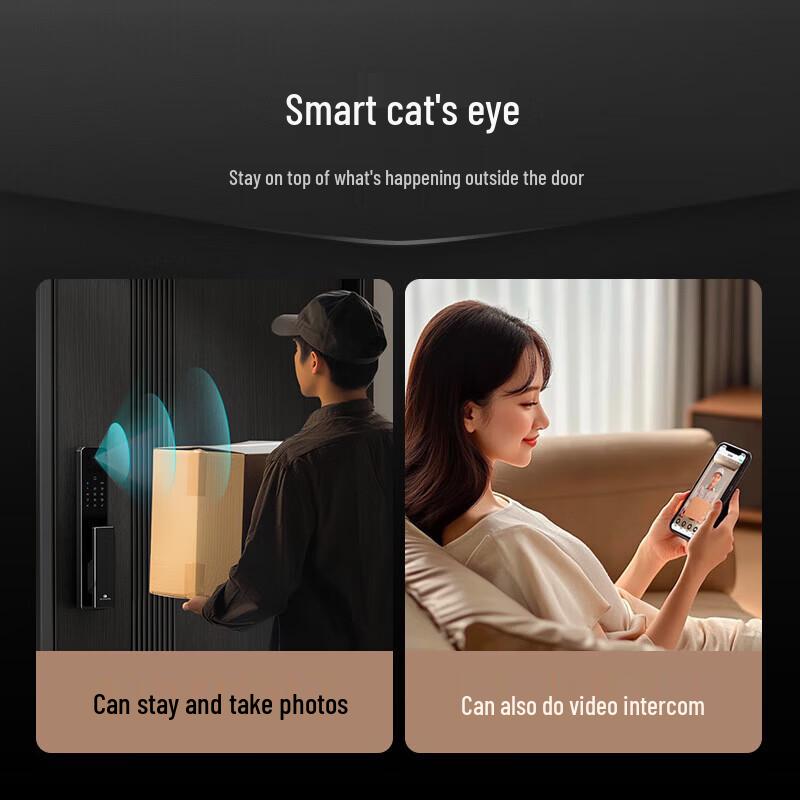 DESMAN Q2FV Smart Door Lock with 3D Face & Palm Vein Recognition
