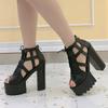 Fashion 15CM Summer Ankle Strap Sandal Shoes for Women High Heels Sandals Platform Back Zipper Sandals Fashion Party Model Show Pumps