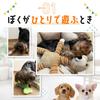 FOily TOily Dog Toy Chew Toy Durable Stuffed Animal for Dogs Makes Sounds Teeth Brushing Pull Small Medium Dogs Present Gift (Bear)