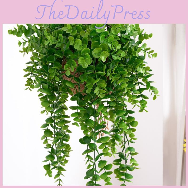 Eukalyptus Plastikblatt Citriodora Für Wohnzimmer Fotohintergründe Wanddeko