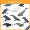 Marine Animal Beluga Whale And Whale Replica Model Set Pvc Toy For Aquarium Decor