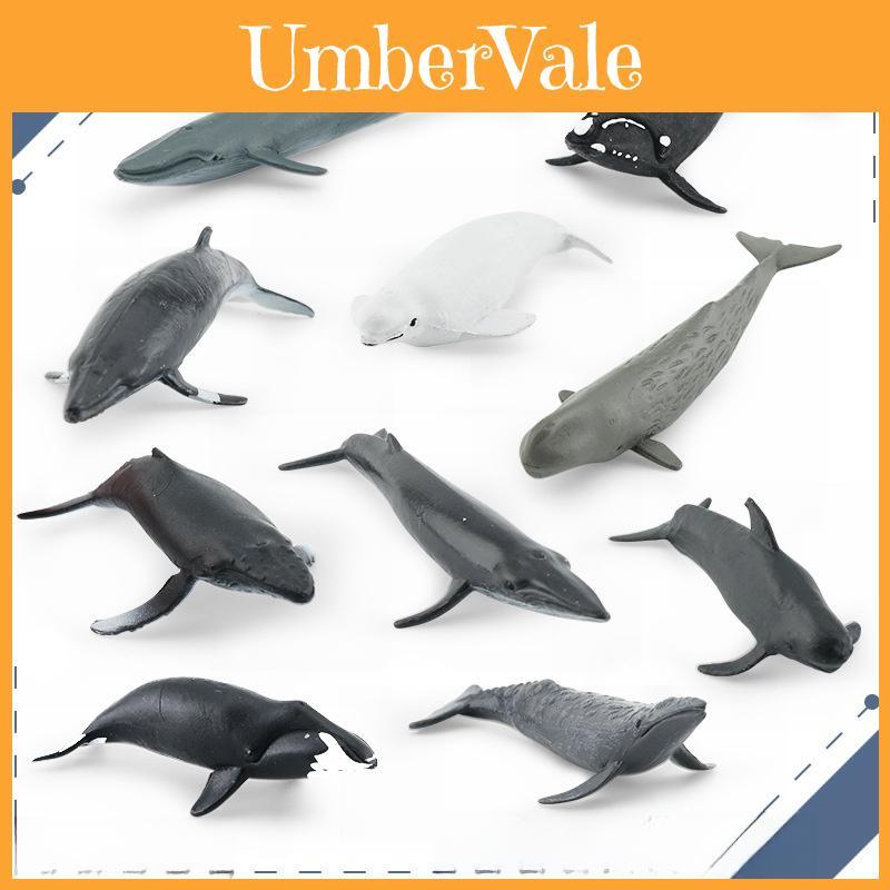 Marine Animal Beluga Whale And Whale Replica Model Set Pvc Toy For Aquarium Decor