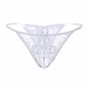 Lace Low-Waist Open Crotch Panties - Ultra-Thin Transparent Mesh Thong for Women