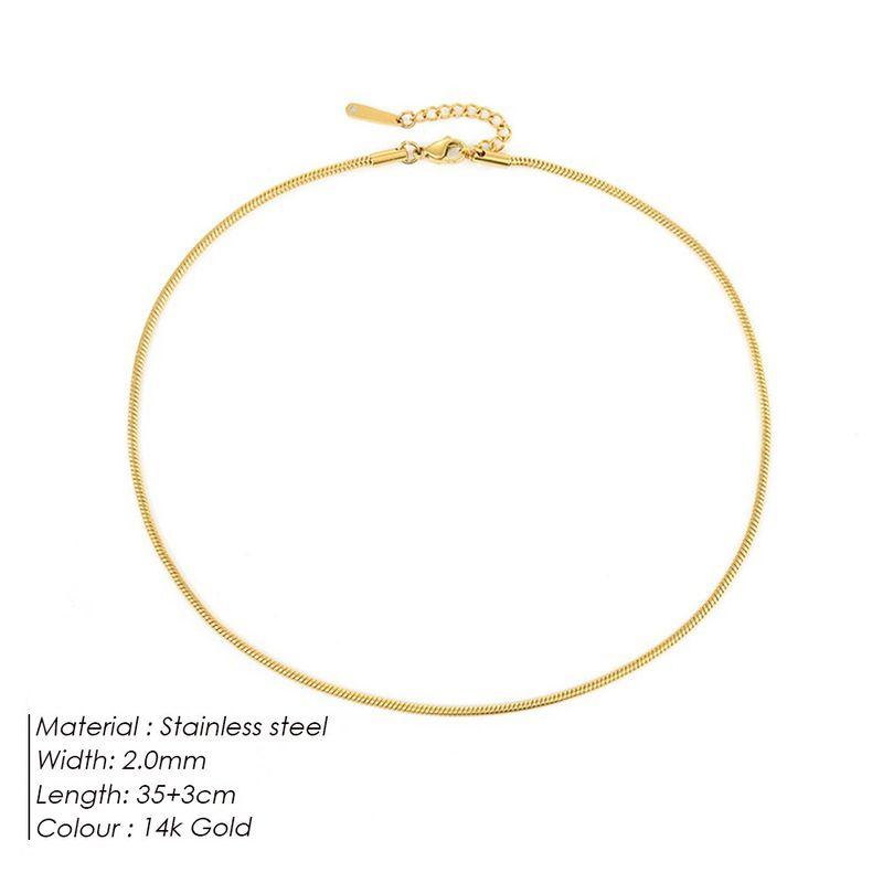 Steel Necklace Round Snake Chain for Women Simple Light Luxury Plain Chain Couple Clavicle Chain European and American Fashion Snake Bone Chain