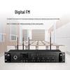 Runpu RP-WX8800P Wireless Conference System Audio Host (CN Version)