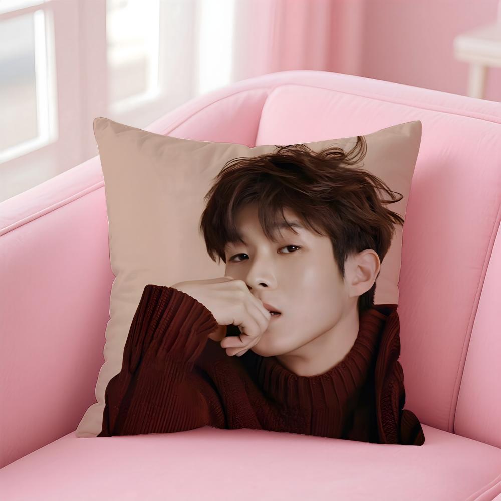 Talented Korean Actor CChoi Wooshik Cushion Cover Pillowcase Short Plush Invisible Zipper Room Sofa Cushion Cover