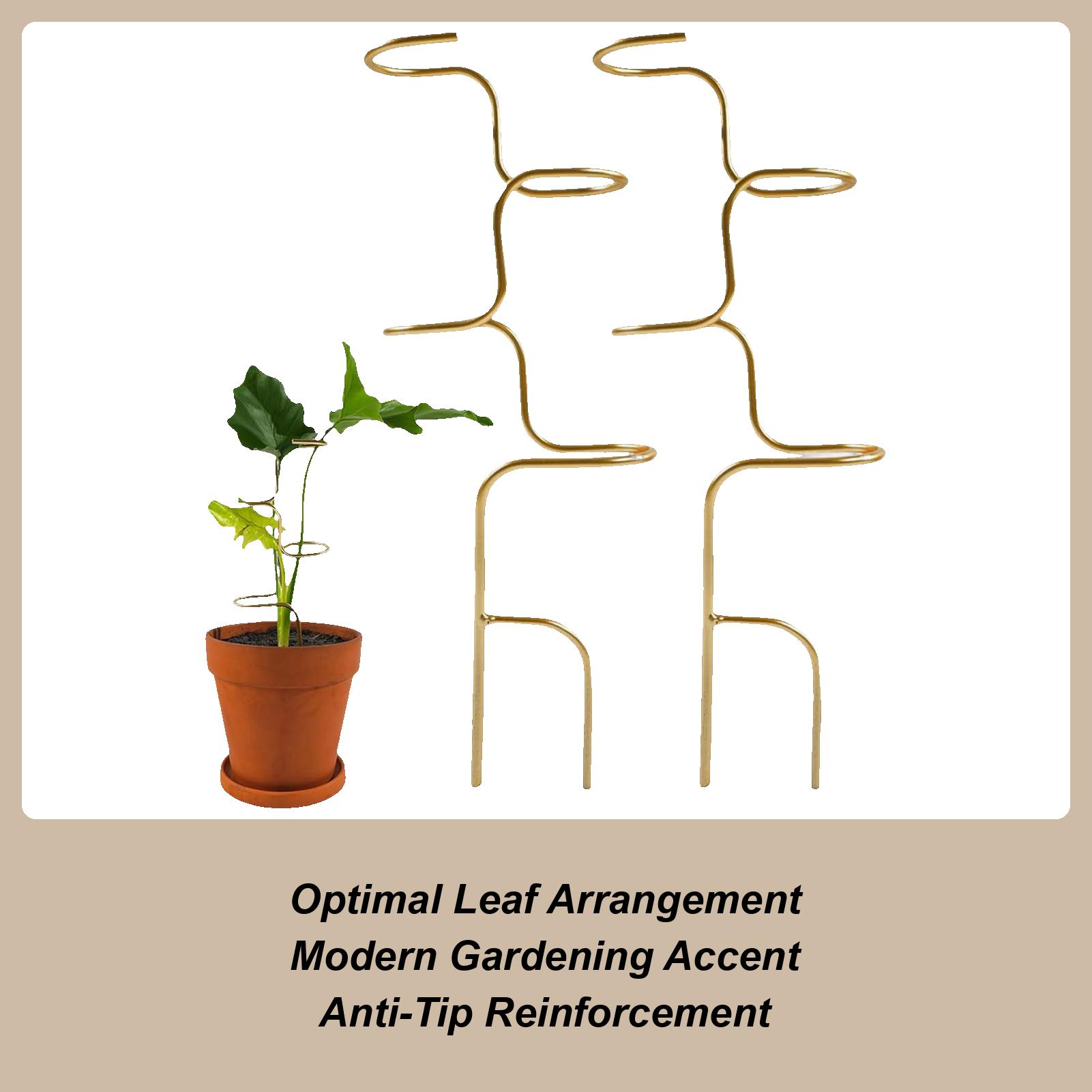 

2pcs Vine Plant Climbing Frame Iron Art Flower Frame Outdoor Monstera Deliciosa Plant Support Bracket Plant Support Stakes China Mainland