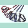 Dog Cowboy Leash Neck Ring Small Medium and Large Puppy Pet Teddy Golden Retriever Chest Strap Dog Walking Leash