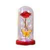Eternal Rose Glass Dome with Lights: Romantic Bouquet Gift for Valentine's Day, New Year & Birthdays
