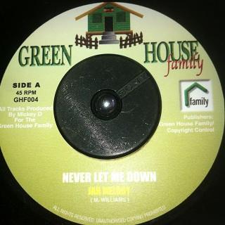

7inch Record JAMELODY Never Let Me Down GHF004 Green House Fam UK Reggae Ska Dub Used