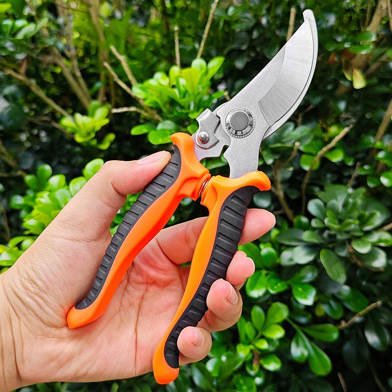 Pruning Shears & Bonsai Scissors for Fruit Picking, Gardening, and Outdoor Use