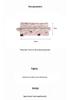 Floral Lace Quilted Pencil Case: Large Capacity, Portable Stationery Bag for Girls