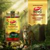 Dabur Sundarbans Wild Forest Honey 500g | 100% Pure Raw Honey | Natural Mangrove Nectar | Rich in Antioxidants | Supports Immunity & Digestion