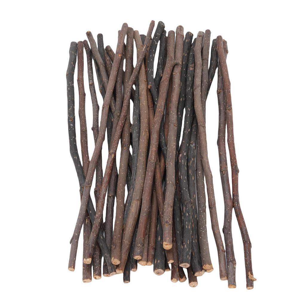 30Pcs Bunny Chew Stick Fruit Tree Animal Chewing Branch for Small Rodents Oral Health Improvement