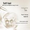 Evening Cherry Blossom Amino Acid Shampoo 750g