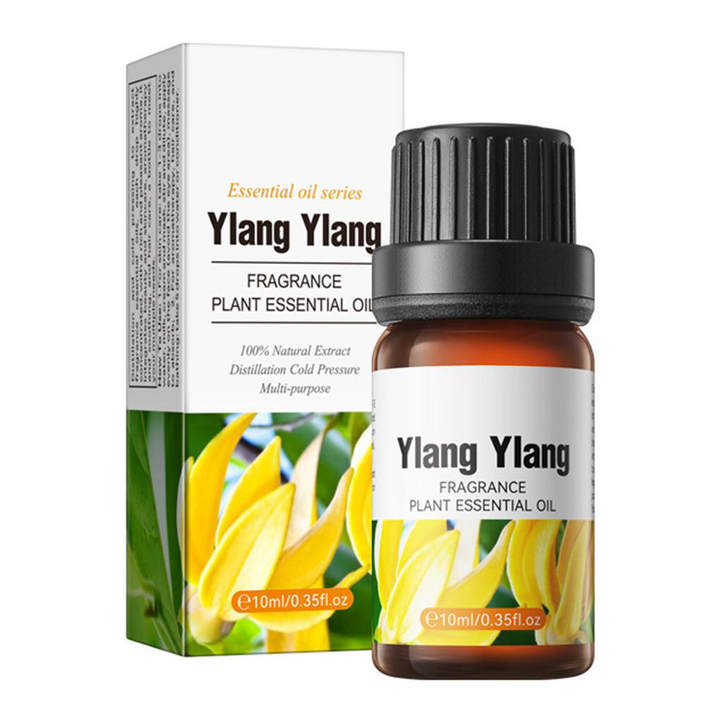 Body Scent Essence Oil, 10ml Moisturizing Care for All Skin Types, Daily Use Fragrance for Women Men, Luxurious Feel