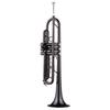 Brass Plated Black Bb Trumpet Set for Beginner Student with Hard Case Straps Mouthpiece Gloves Polishing Cloth