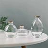 3PCS Nordic Style Mini Vase Set Minimalist Hydroponic Vase Elegant Small Plant Pots  Kitchen