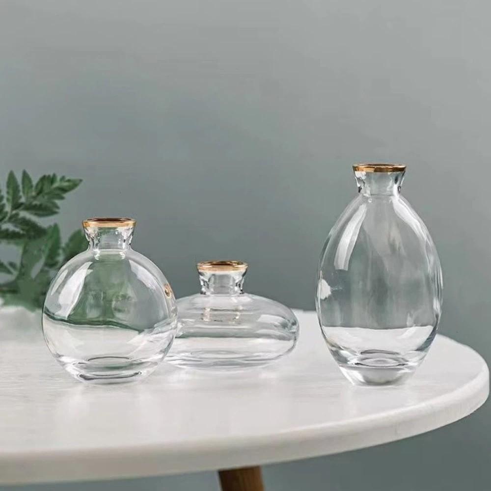 3PCS Nordic Style Mini Vase Set Minimalist Hydroponic Vase Elegant Small Plant Pots Kitchen