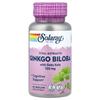 Solaray Vital Extract Ginkgo Biloba 120mg mit Gotu Kola, 60 vegetarische Kapseln